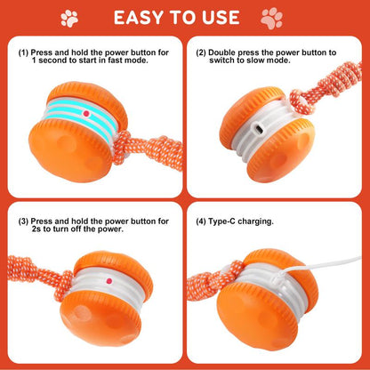 WiggleTail™ Interactive Ball